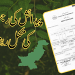پاکستان میں برتھ سرٹیفکیٹ کی مکمل رہنمائی