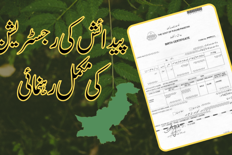 پاکستان میں برتھ سرٹیفکیٹ کی مکمل رہنمائی