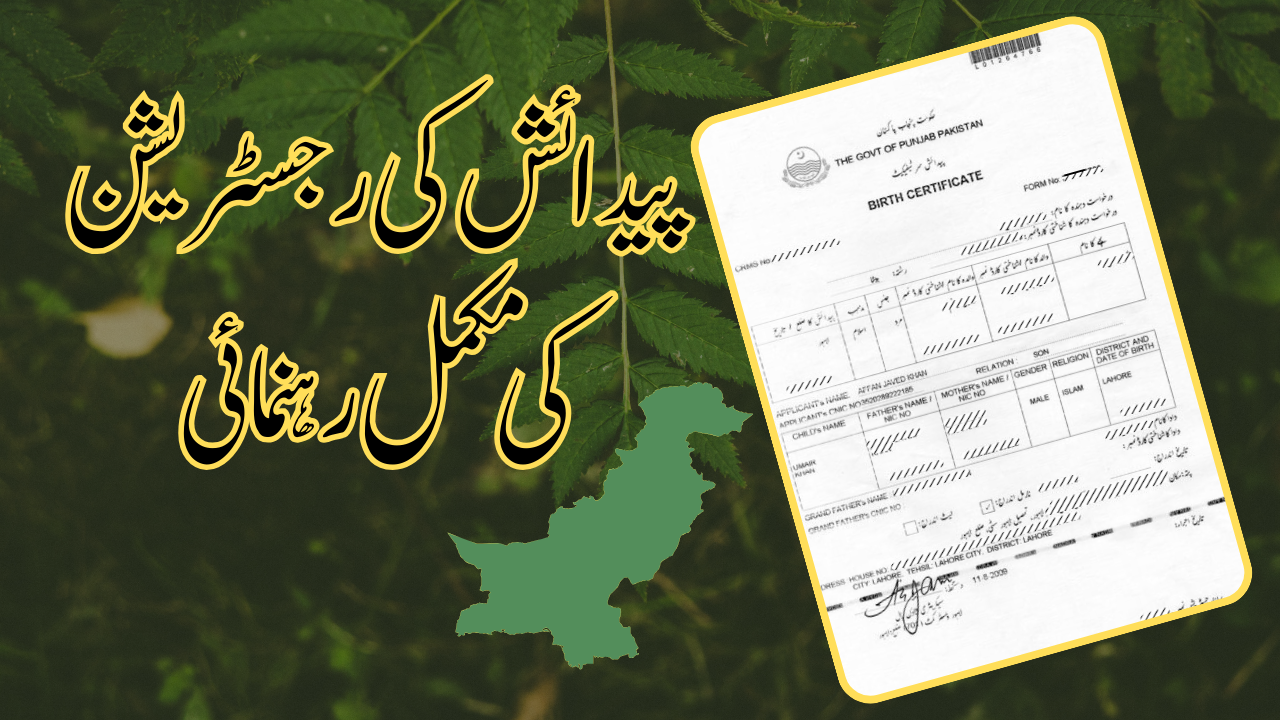 پاکستان میں برتھ سرٹیفکیٹ کی مکمل رہنمائی